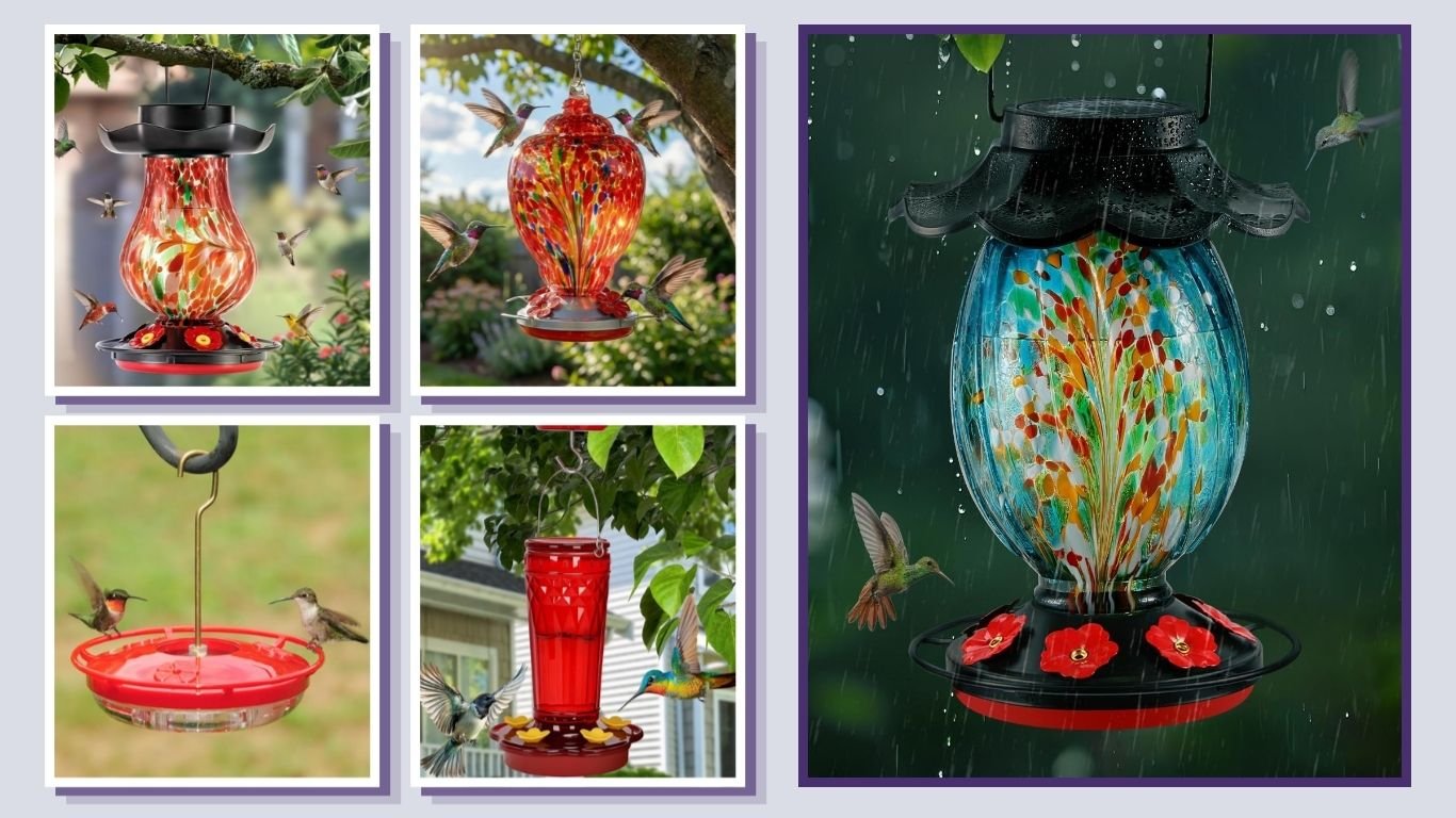 10 Best Hummingbird Feeders for Easy Backyard Feeding