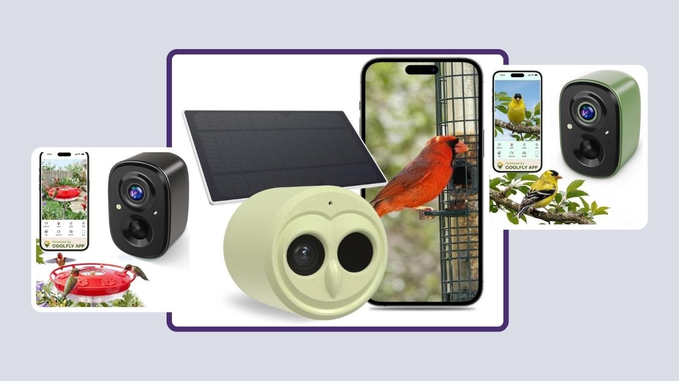 7 Best Bird Watching Cameras for Capturing Birds Up Close