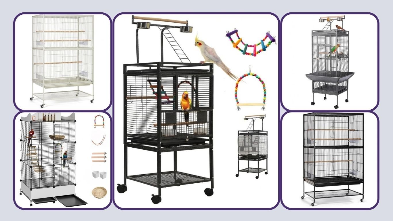 11 Best Bird Cages for Parakeets, Cockatiels & More