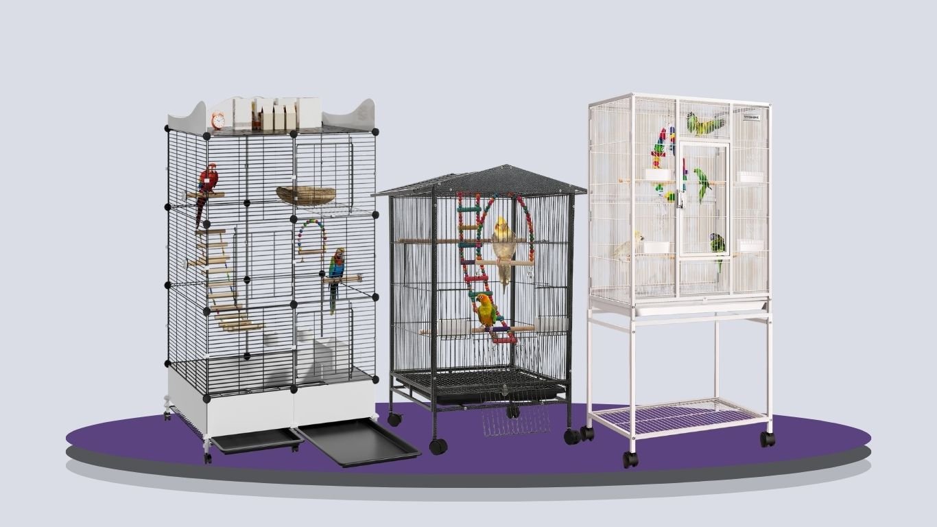9 Best Budgie Cages for Comfort, Safety & Easy Cleaning