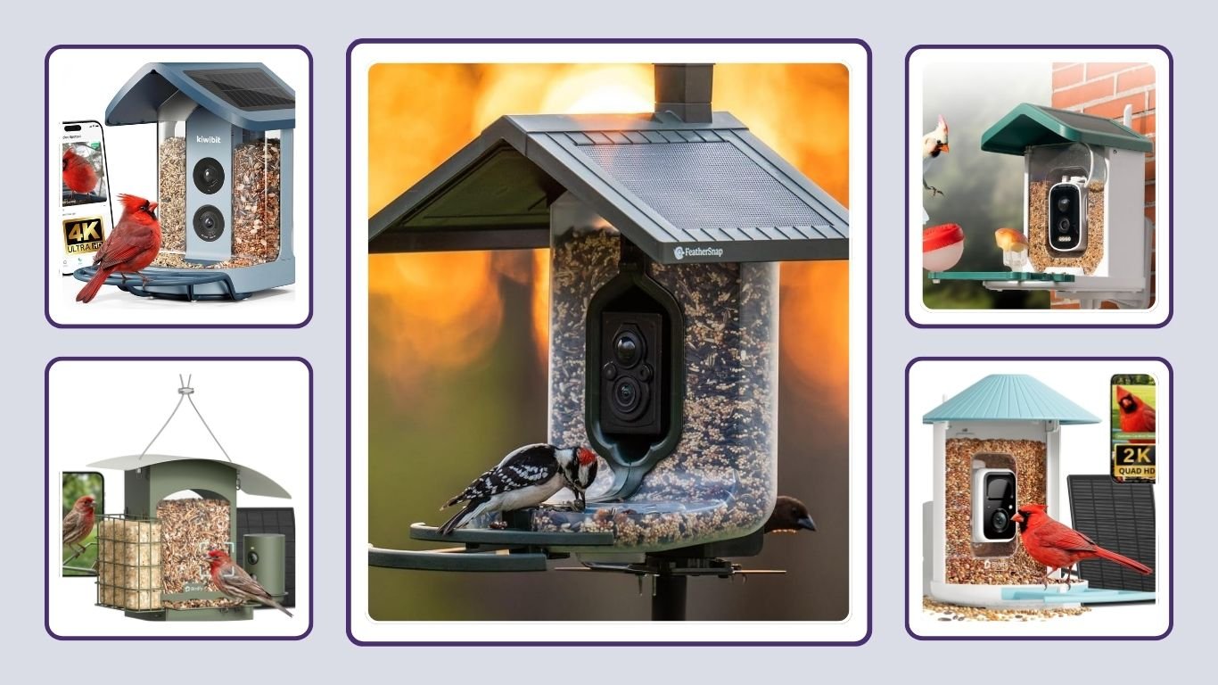 11 Best Smart Bird Feeders with Cameras for Bird Watching