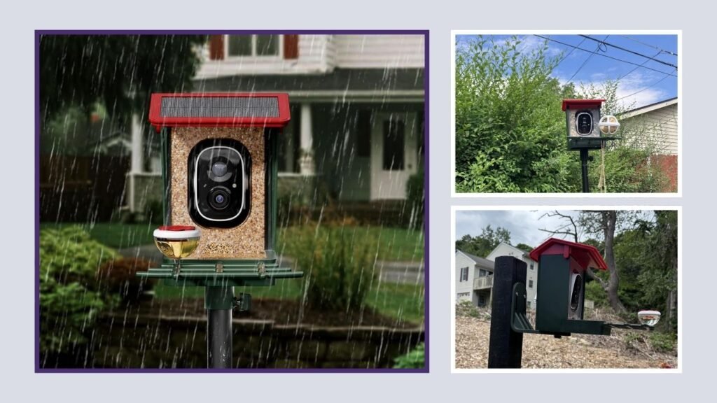 Smart Bird Feeder with Camera & Bird Recognition