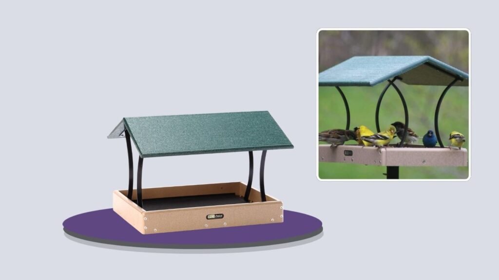Birds Choice 18×12 Fly-Through Platform Bird Feeder