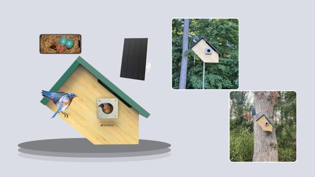 Birdkiss Smart Birdhouse Camera for Nesting & Hatching