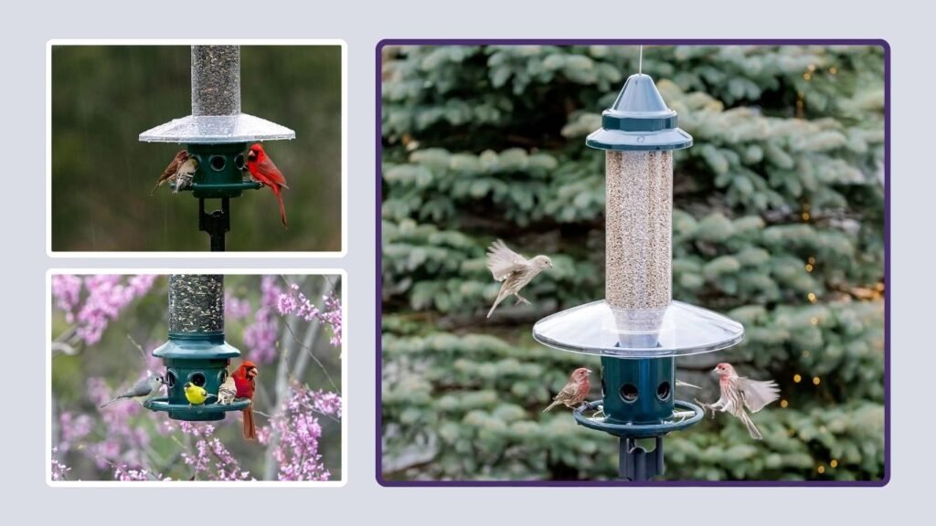 Squirrel-Proof 5.1-Pound Adjustable Bird Feeder