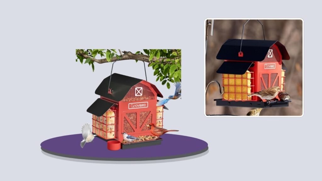 OVIBIRD 5-Lb Bird Feeder With Double Suet Cages