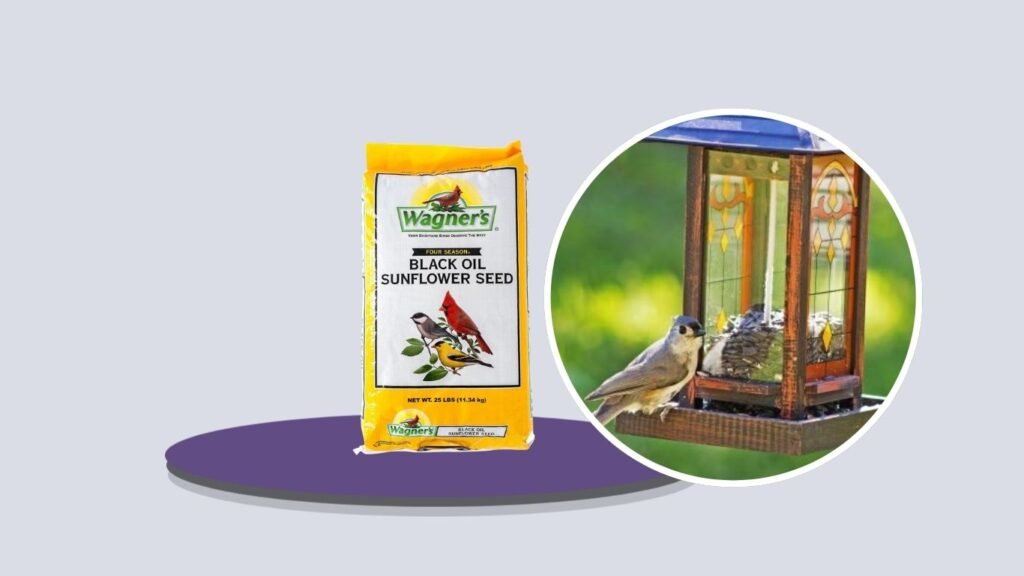 Wagner’s Black Oil Sunflower Wild Bird Food