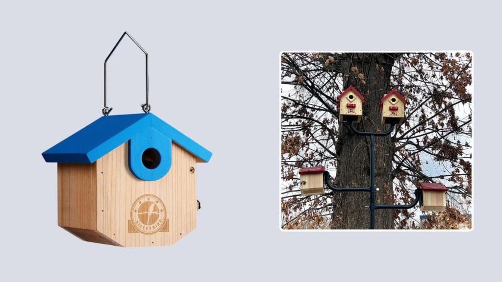 SISTERBIRD Cedar Hanging Wren & Chickadee Birdhouse
