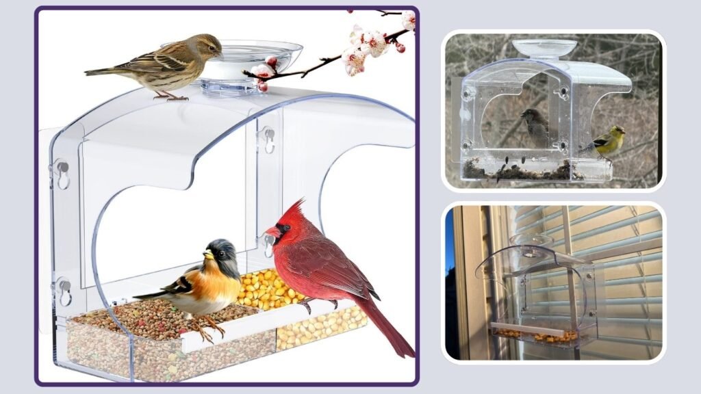 Goodeco Clear Window Bird Feeder