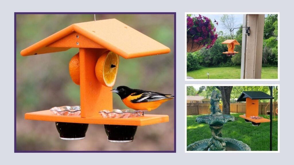  Amish-Made Double-Cup Orange Oriole Feeder
