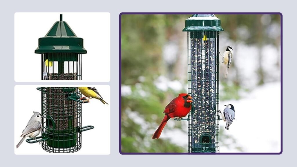 Brome Squirrel Buster Classic Bird Feeder