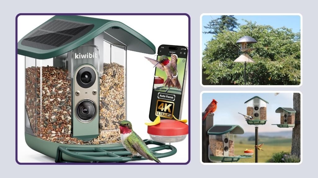 Kiwibit 4K AI Solar Smart Bird Feeder