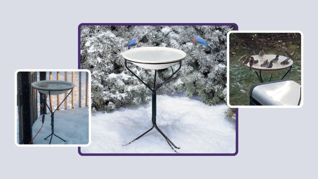 Allied Precision Industries 20-Inch Heated Bird Bath