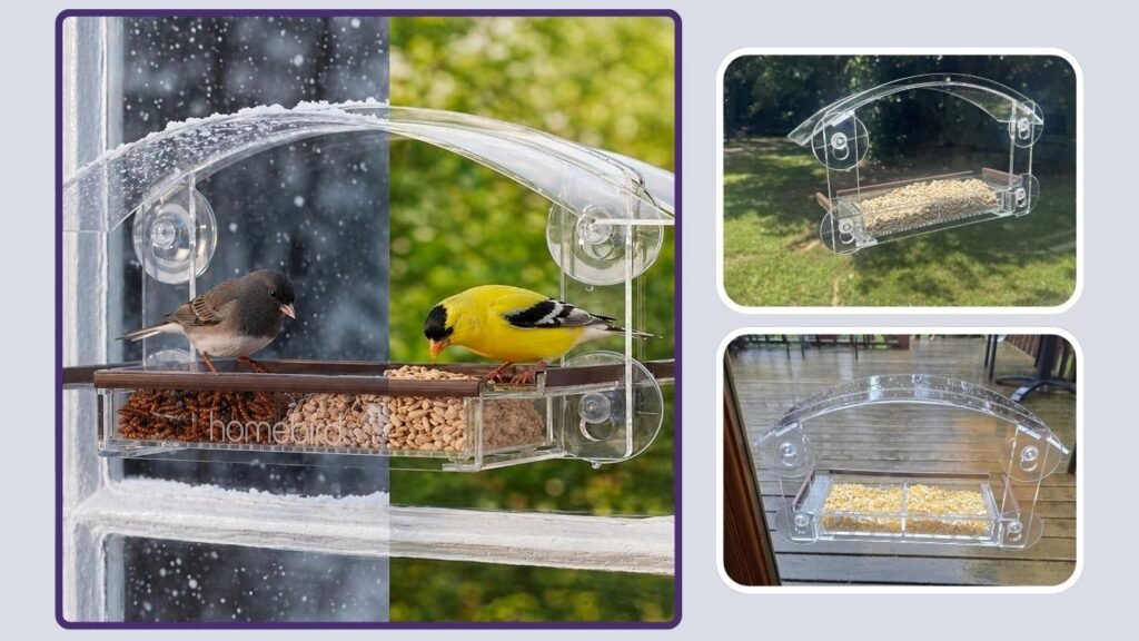 Clear Window Bird Feeder with Strong Suction Cups