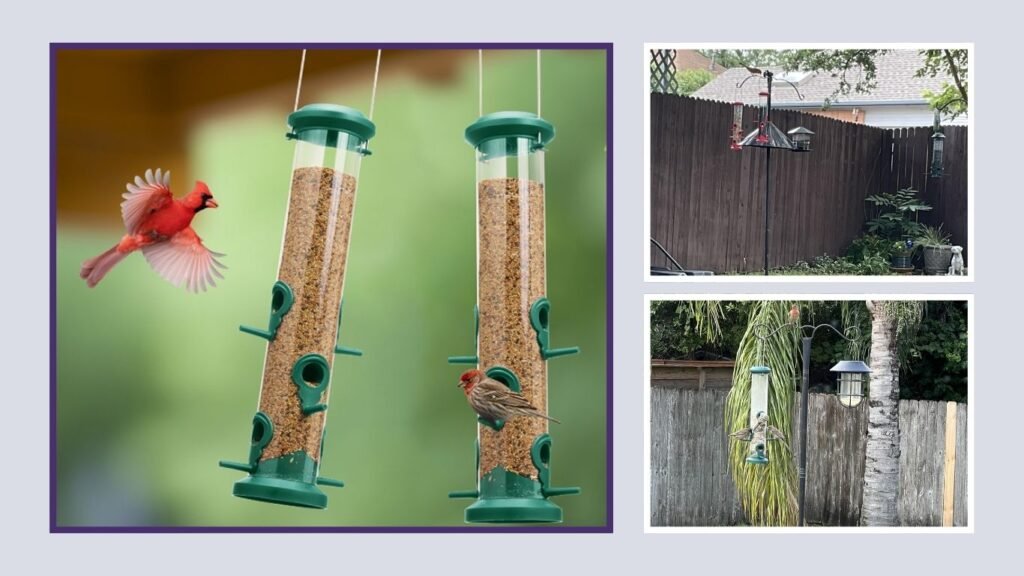 Kingsyard Tube Bird Feeder for Chickadees & Cardinals