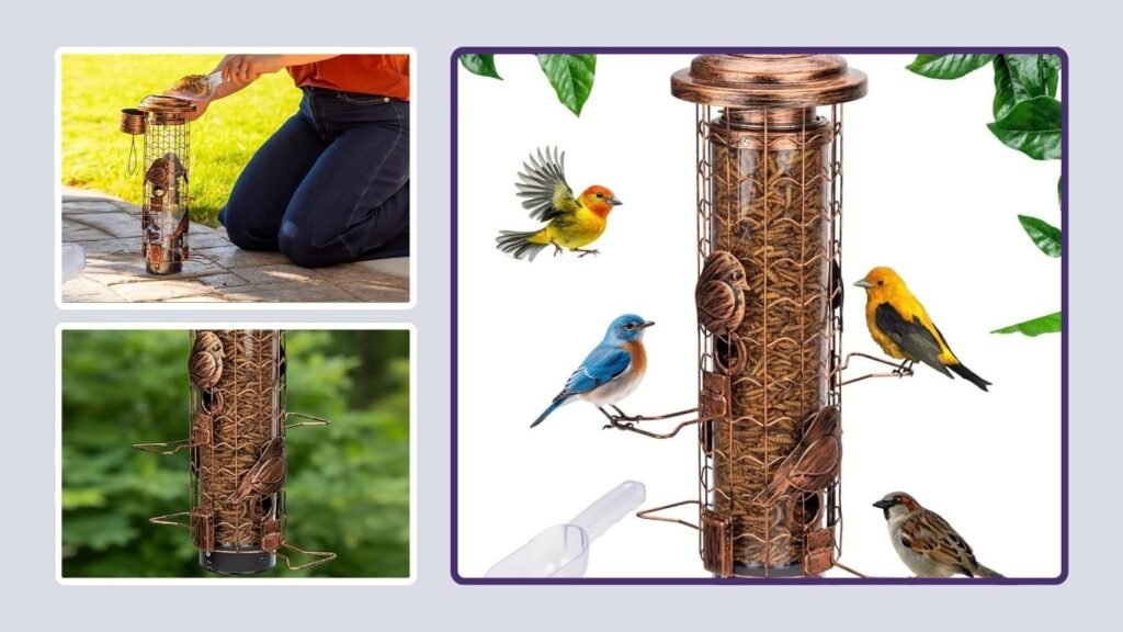 Squirrel-Proof Bird Feeder for Seeds & Mealworms