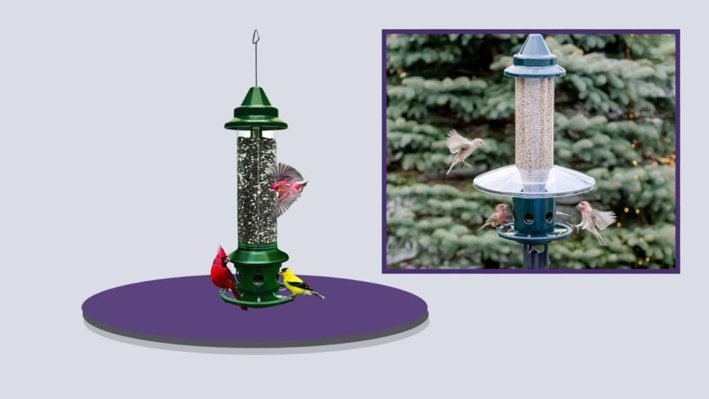  Squirrel Buster Plus Bird Feeder with Cardinal Ring