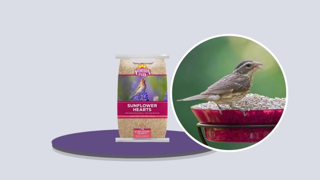 Audubon Park Sunflower Hearts Wild Bird Food
