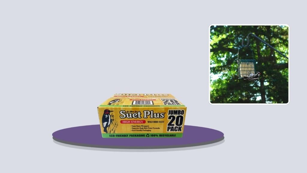 St. Albans Bay Suet Plus High Energy Suet Cakes