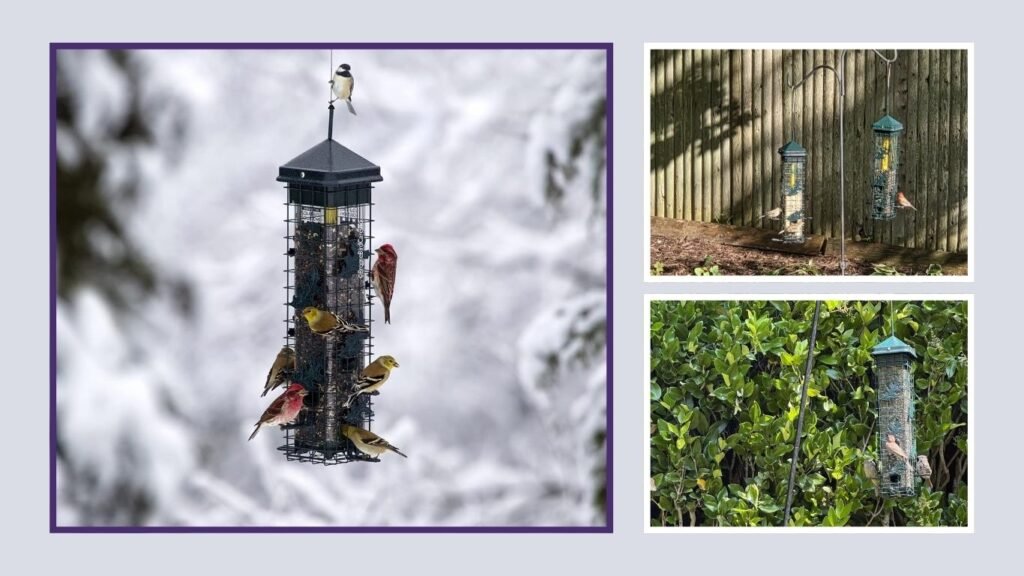 Squirrel Solution200 Squirrel-Proof Bird Feeder
