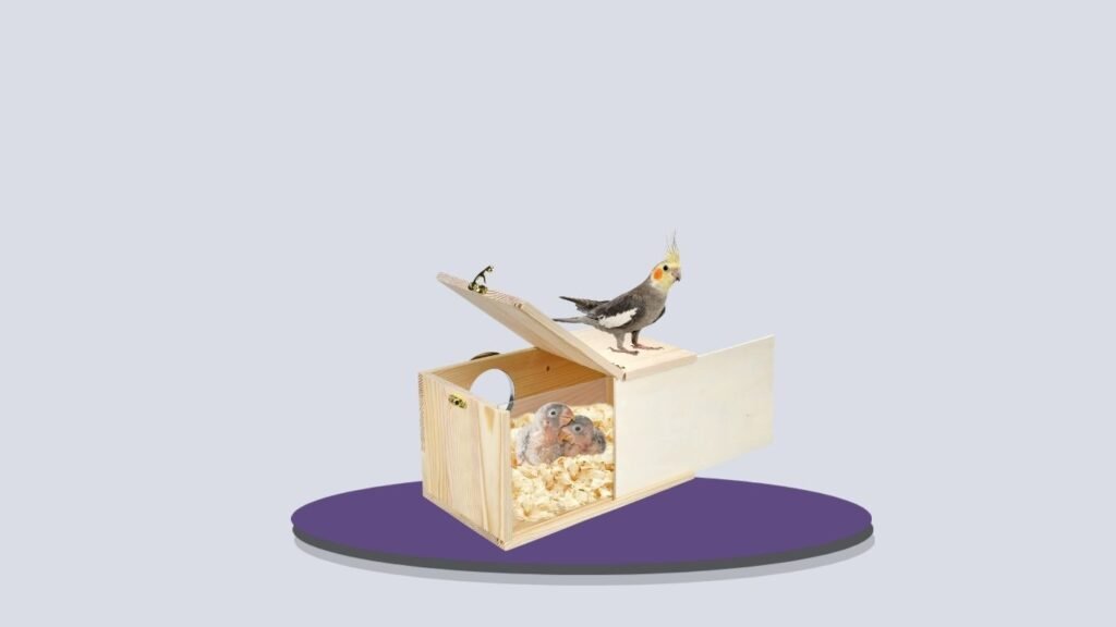 CooShou Cockatiel Transparent Detachable Nesting Box