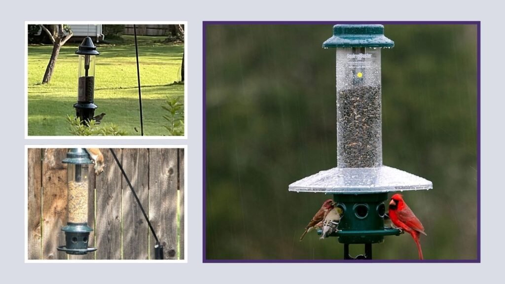 Squirrel-Proof Adjustable Bird Feeder – 5.1 lb Capacity