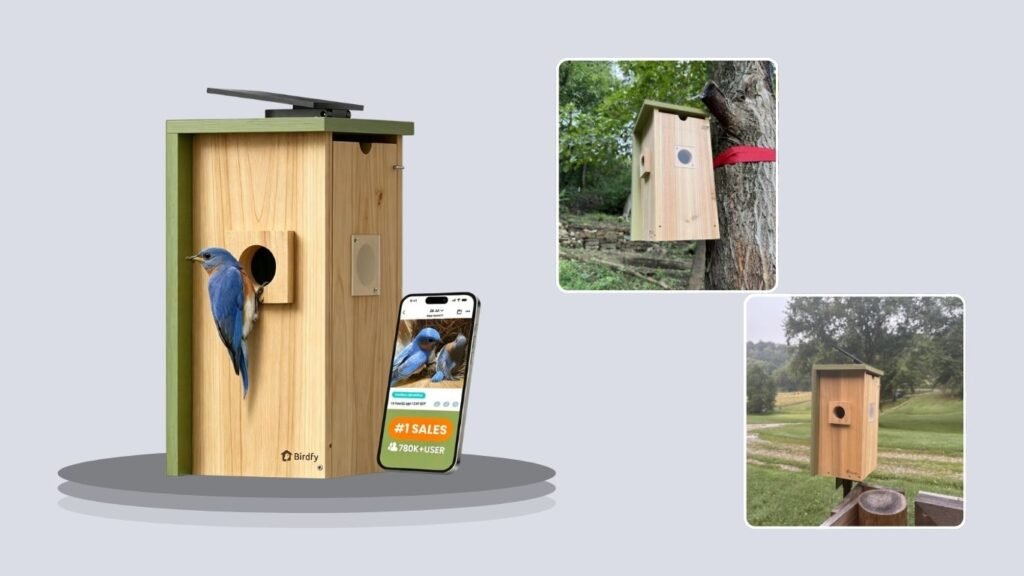 Birdfy Solar-Powered Bird House Camera with Metal Cladding