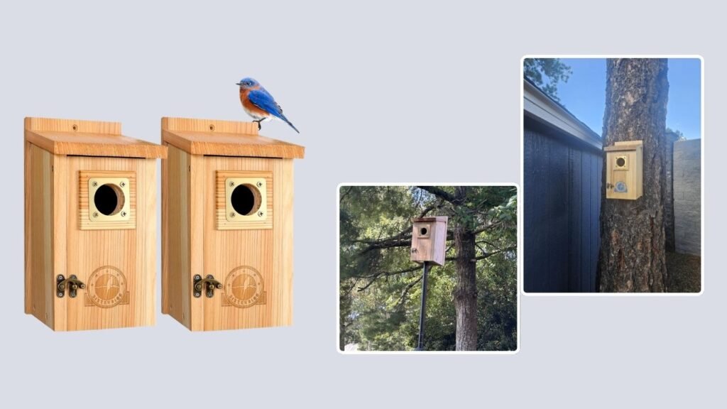 SISTERBIRD 2 Pack Cedar Bird Houses with Copper Guard