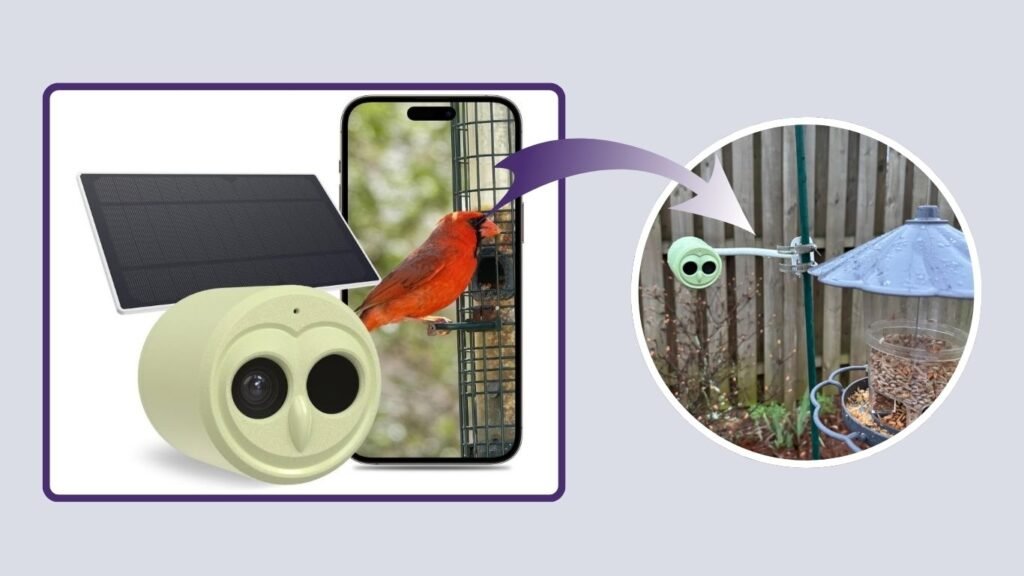 Hibird 5G AI Bird Watching Wireless Camera