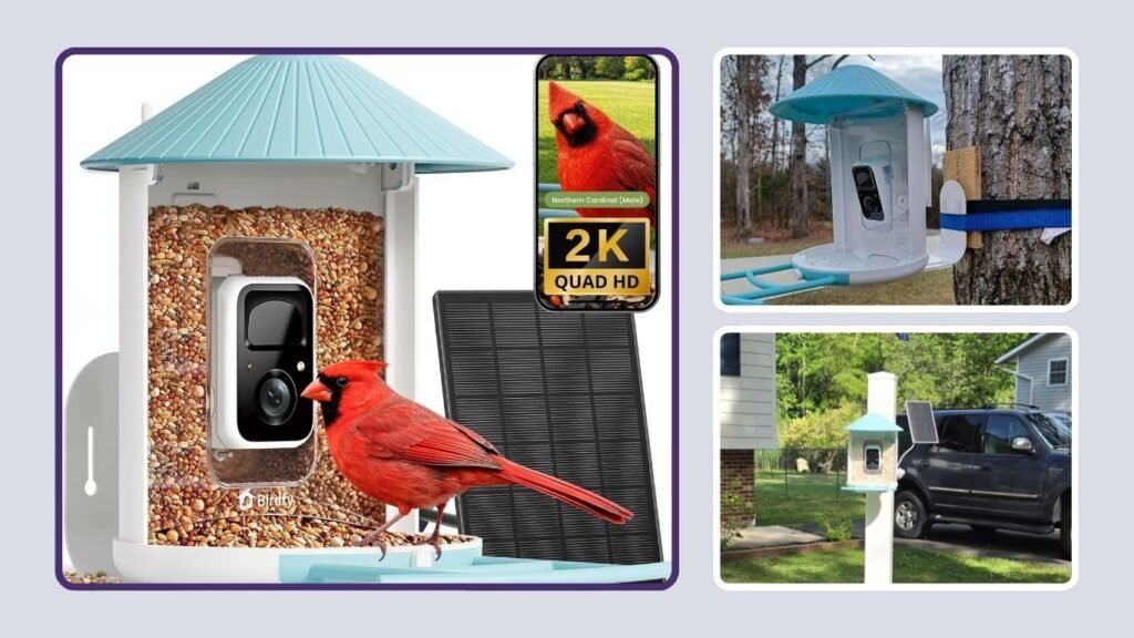 NETVUE by Birdfy Smart Bird Feeder with 2K AI Camera