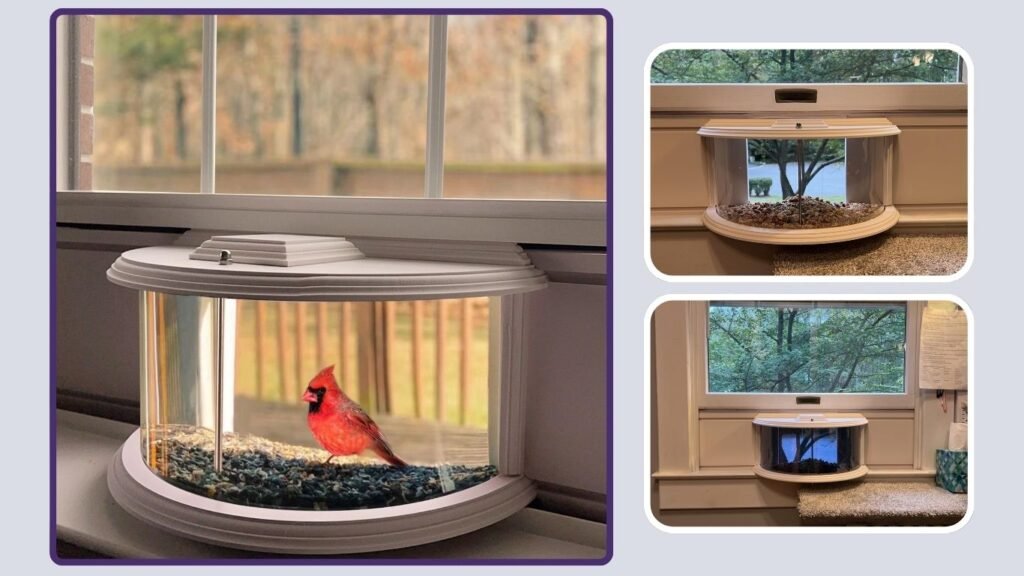 BAIAPEY Window Bird Feeder for Close-Up Viewing