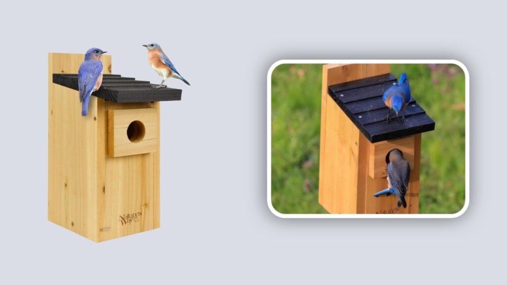 Wild Wings WWCH3 Cedar Blue Bird Box House