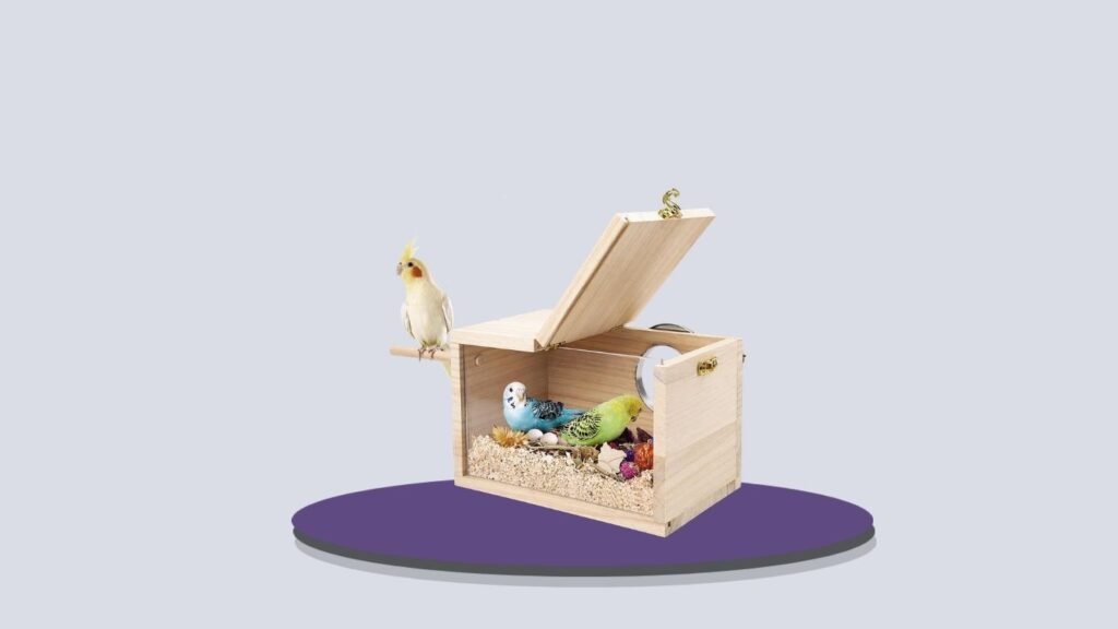 Rypet Transparent Nesting Box for Cockatiels & Parrotlets