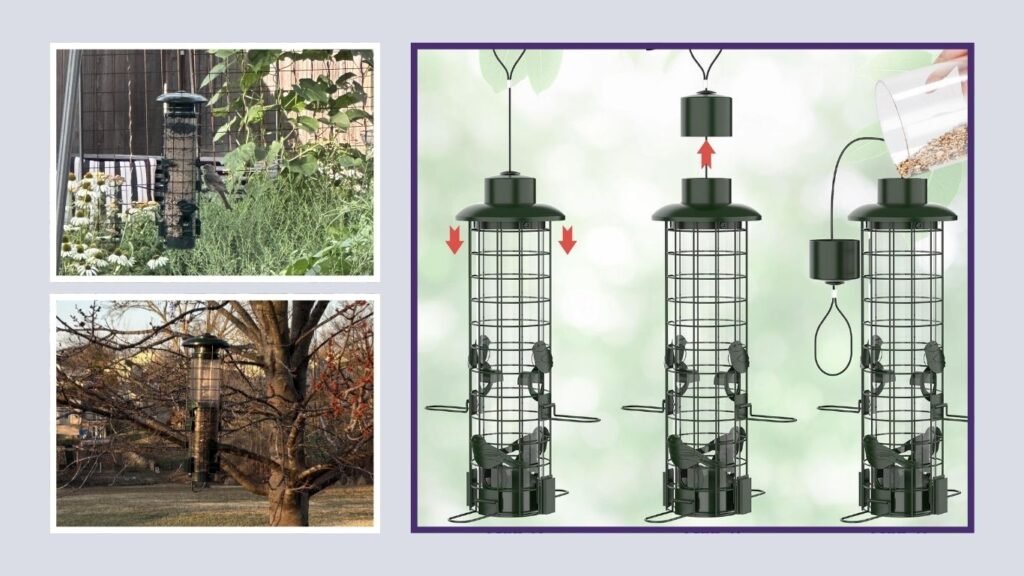 Squirrel-Protected Outdoor Bird Feeder for Cardinals & Chickadees