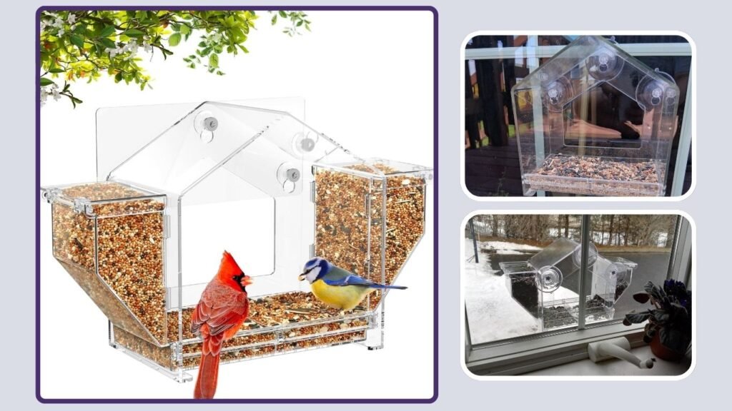 Upgraded Window Bird Feeder with Hoppers