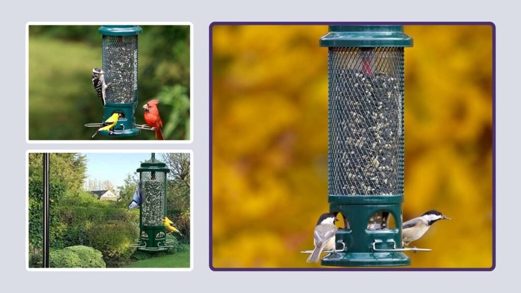 Brome Squirrel Buster Legacy Bird Feeder