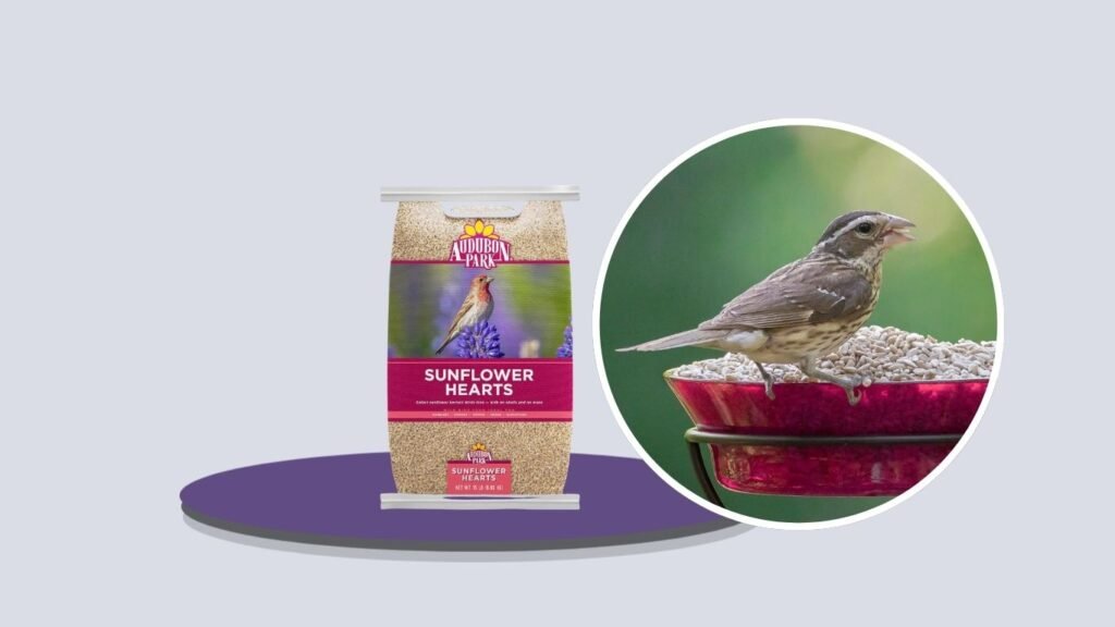 Audubon Park Sunflower Hearts Wild Bird Seed