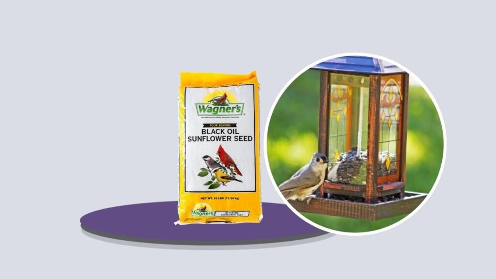 Wagner’s Black Oil Sunflower Wild Bird Food