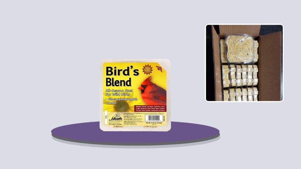 Heath Outdoor Products All Season High Energy Suet Cakes