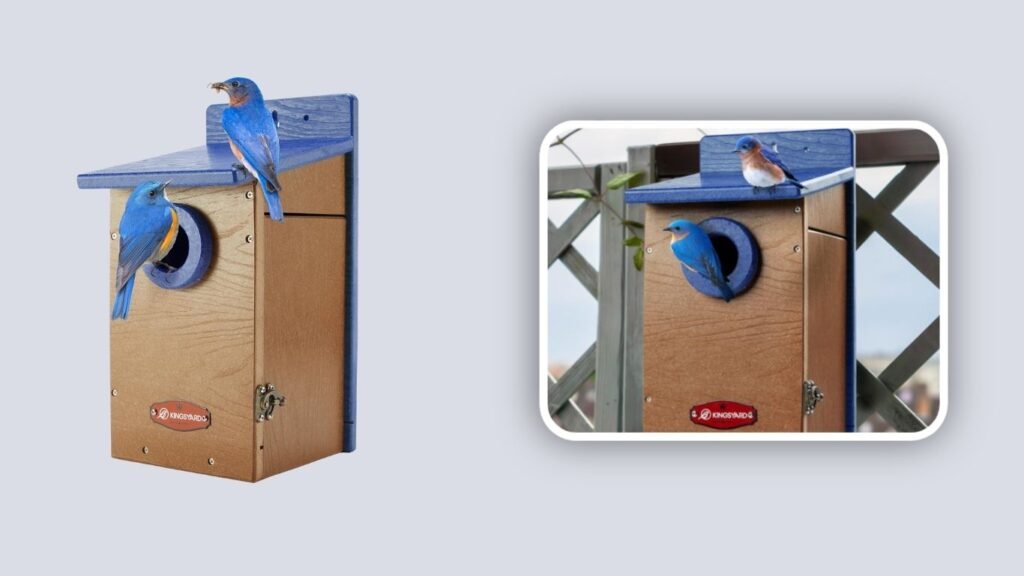 Kingsyard Recycled Plastic Bluebird House with Predator Guard