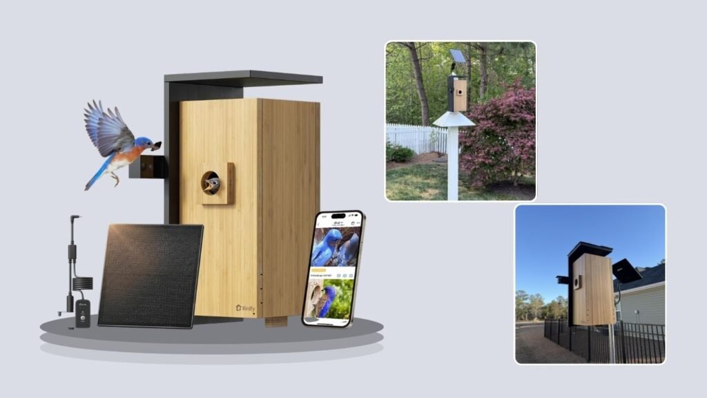 Birdfy Nest Duo Smart Bird House with Dual Cameras