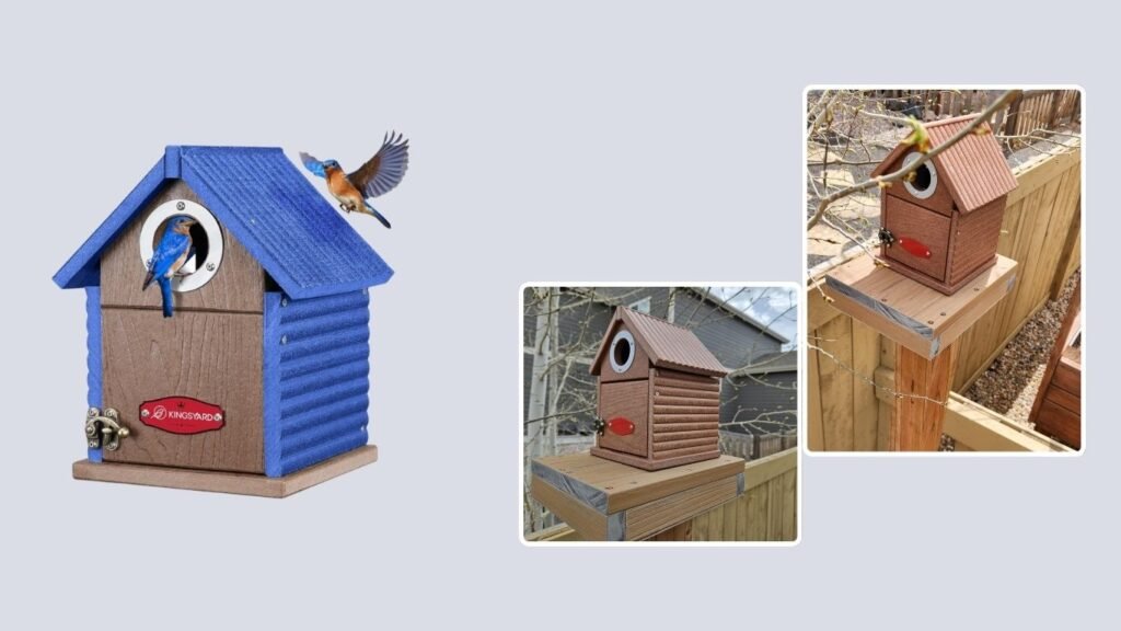 Kingsyard Recycled Plastic Bluebird House with Predator Guard