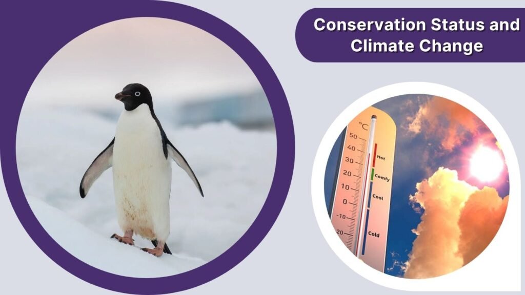 Conservation Status and Climate Change