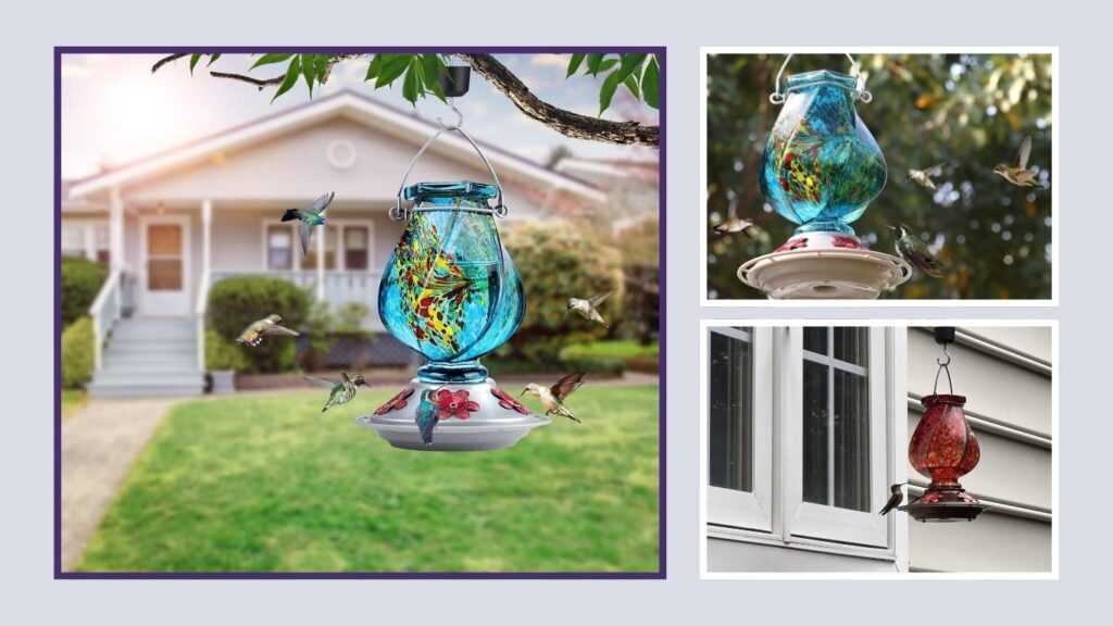 BOLITE Hand-Blown Glass Hummingbird Feeder – 22 oz
