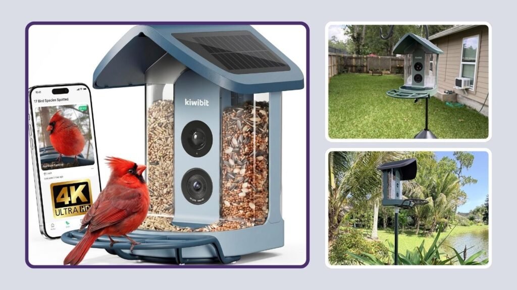 Kiwibit 4K HDR Dual-Solar Smart Bird Feeder