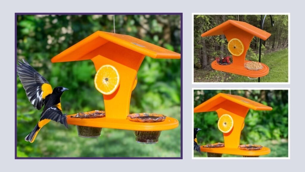 DutchCrafters Plastic Hanging Baltimore Oriole Feeder