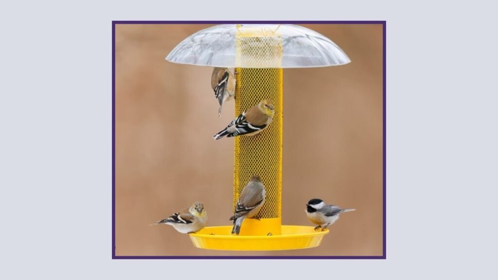Kingsyard Weatherproof Finch Bird Feeder
