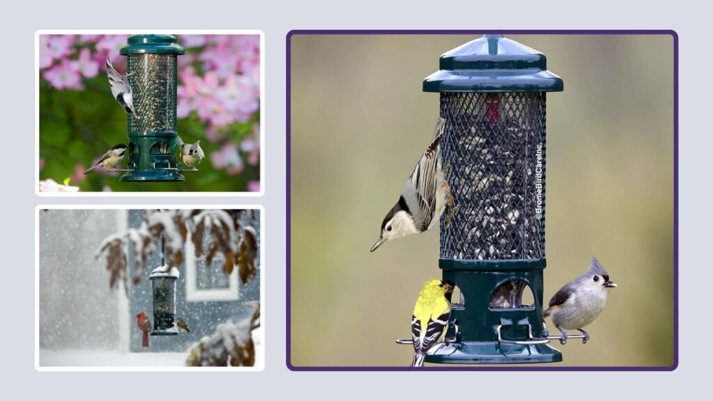 Brome Squirrel Buster Standard Bird Feeder