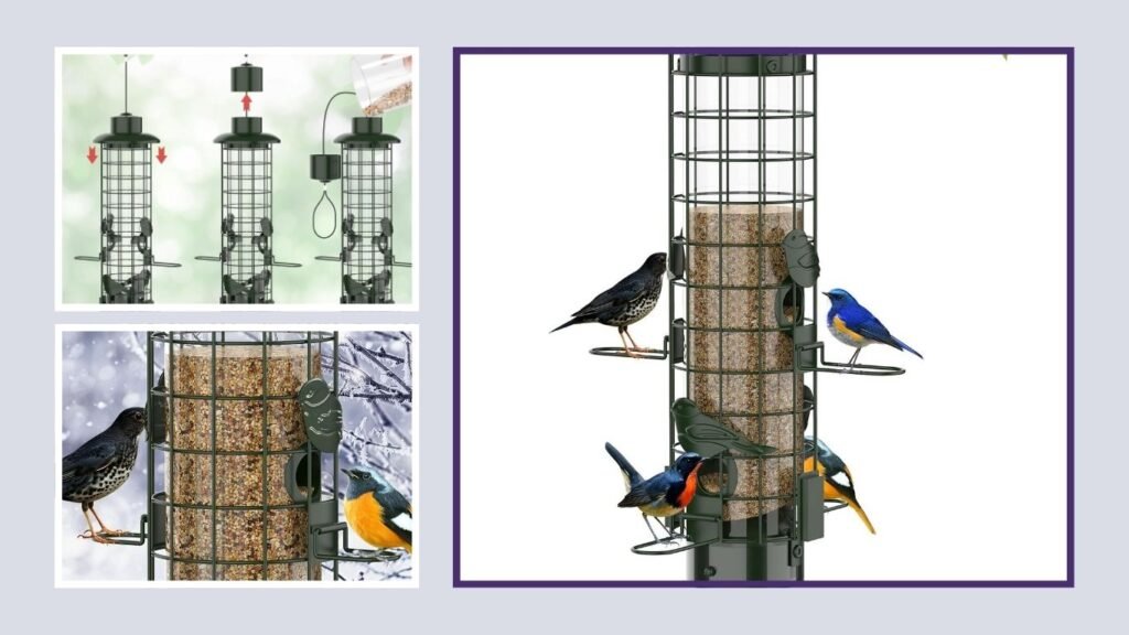 Squirrel-Proof Metal Bird Feeder for Cardinals & Chickadees