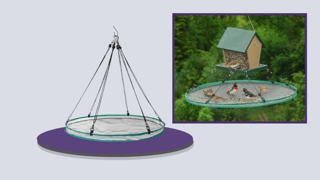 Songbird Essentials SEIA30024 24-Inch Seed Hoop